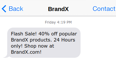 Flash sale example text