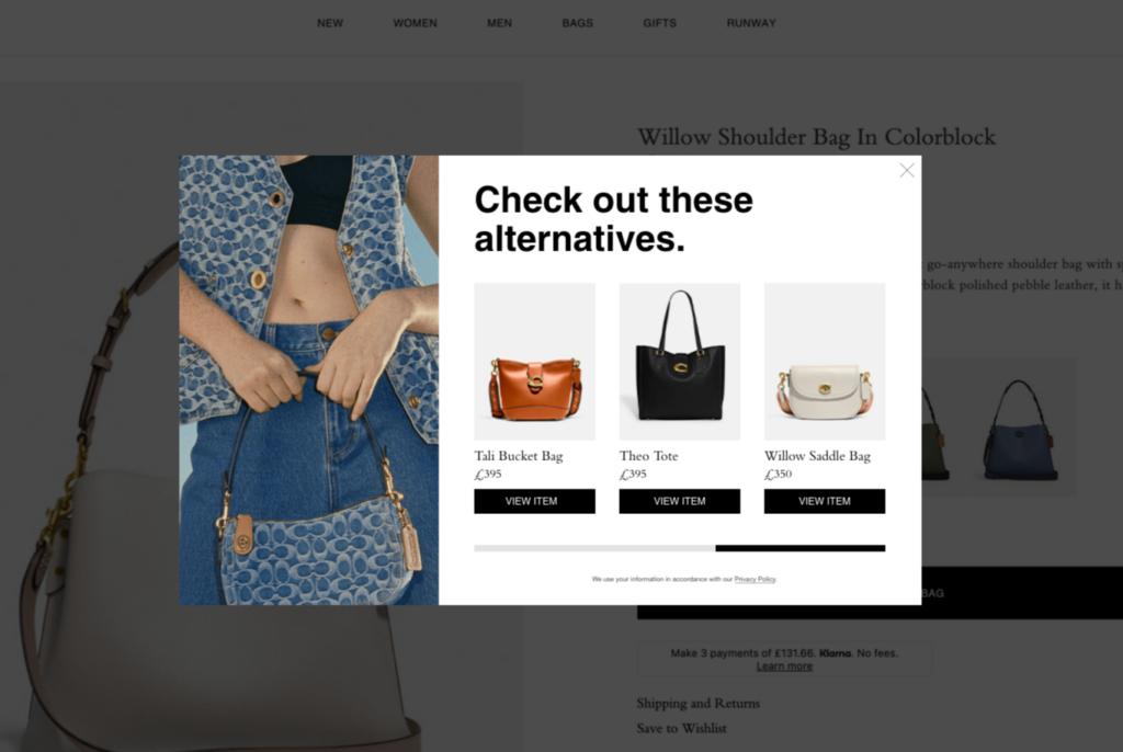 Desktop modal showing alternative product recommendations for purses.